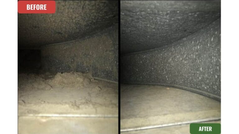 WhatsApp-Image-2024-10-11-at-9.22.45-PM-1