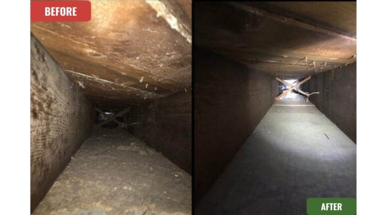 WhatsApp-Image-2024-10-11-at-9.22.45-PM-3