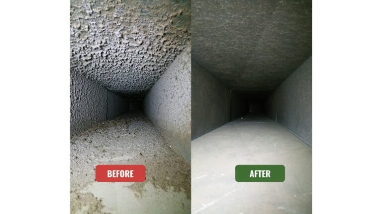 WhatsApp-Image-2024-10-11-at-9.22.48-PM-1