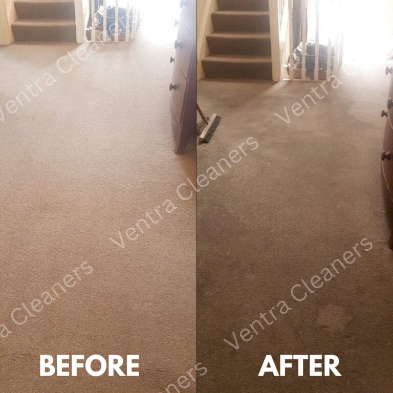 ventra cleaner image 3